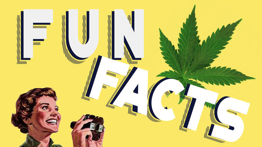 Cannabis Fun-Facts.